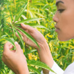 【2025年秋】乾燥が気になるあなたへ CBDスキンケアで潤い肌を取り戻す理由とは？